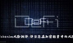 深入解析Tokenim风险测评：