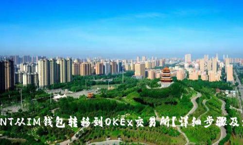 如何将ONT从IM钱包转移到OKEx交易所？详细步骤及注意事项