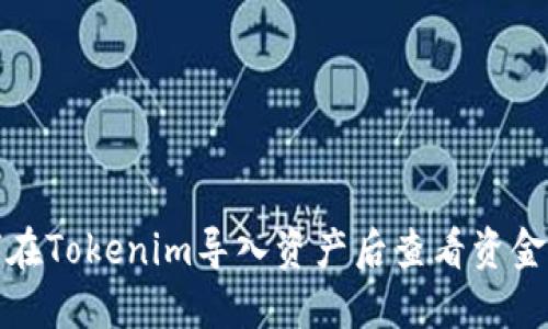如何在Tokenim导入资产后查看资金余额