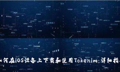 如何在iOS设备上下载和使用Tokenim：详细指南