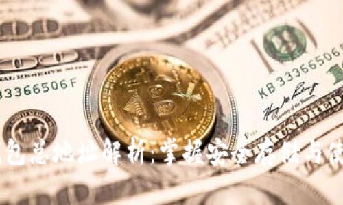 USDT钱包总地址解析：掌握安全存储与使用技巧