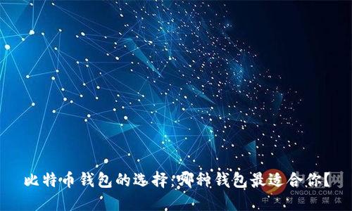 比特币钱包的选择：哪种钱包最适合你？