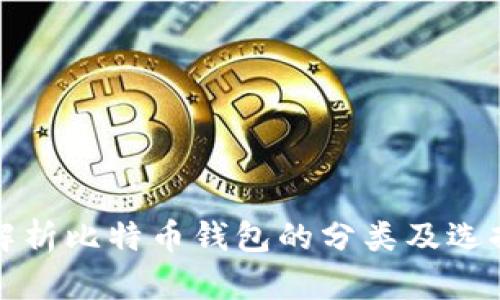 全面解析比特币钱包的分类及选择指南