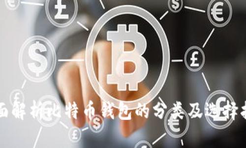 全面解析比特币钱包的分类及选择指南