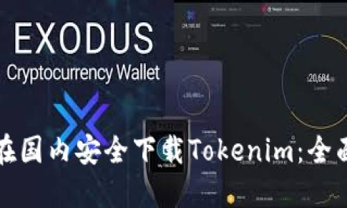 如何在国内安全下载Tokenim：全面指南