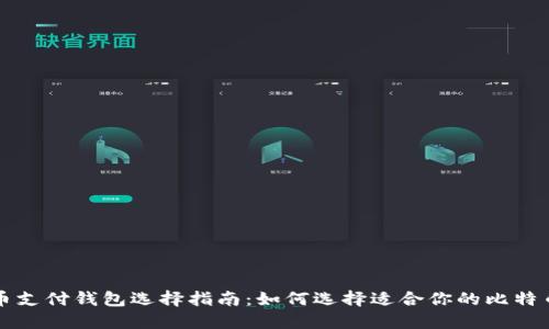 比特币支付钱包选择指南：如何选择适合你的比特币钱包