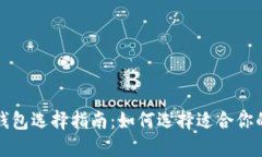 比特币支付钱包选择指南：如何选择适合你的比