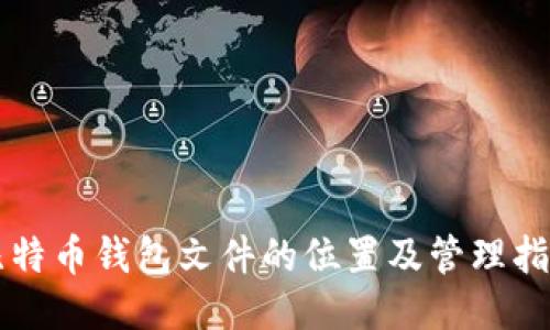 比特币钱包文件的位置及管理指南