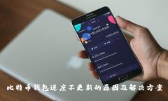 比特币钱包进度不更新的原因及解决方案