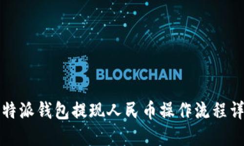 比特派钱包提现人民币操作流程详解