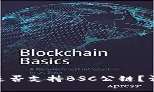 Tokenim是否支持BSC公链？详解与分析