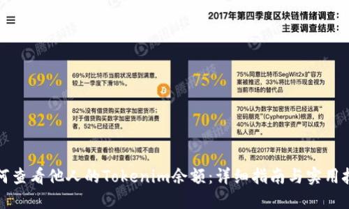 如何查看他人的Tokenim余额：详细指南与实用技巧