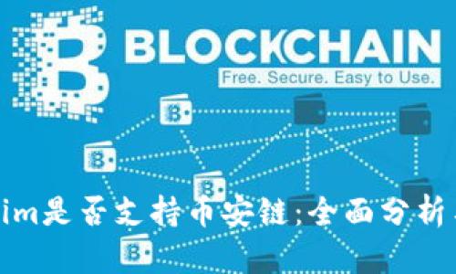 Tokenim是否支持币安链：全面分析与解读
