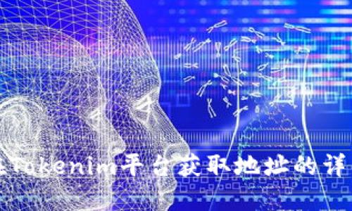 如何在Tokenim平台获取地址的详细指南