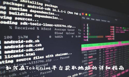 如何在Tokenim平台获取地址的详细指南