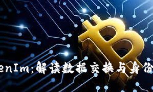 JSON文件与TokenIm：解读数据交换与身份验证的关键技术