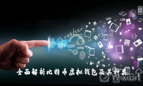 全面解析比特币虚拟钱包及其种类