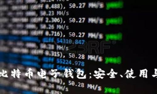 全面解析比特币电子钱包：安全、使用与选择指南