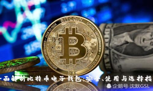 全面解析比特币电子钱包：安全、使用与选择指南