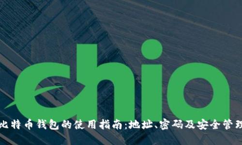 比特币钱包的使用指南：地址、密码及安全管理