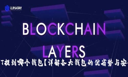 USDT提到哪个钱包？详解各大钱包的优劣势与安全性