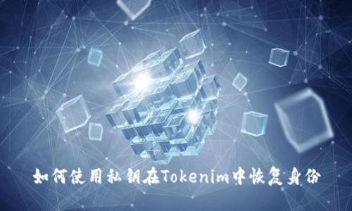 如何使用私钥在Tokenim中恢复身份