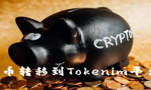 如何将私募币转移到Tokenim平台？详尽指南