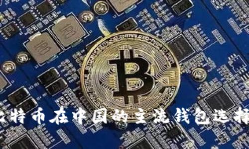 全面解析：比特币在中国的主流钱包选择与使用指南