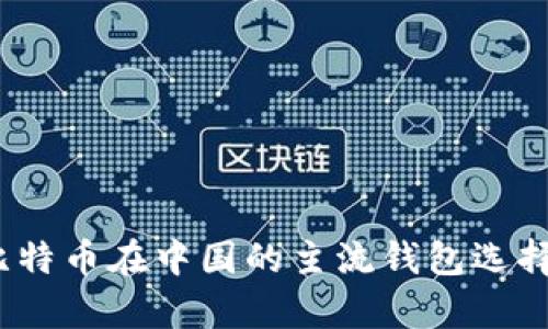 全面解析：比特币在中国的主流钱包选择与使用指南