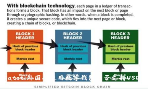 biatoti外国人使用数字钱包是否支持USDT？