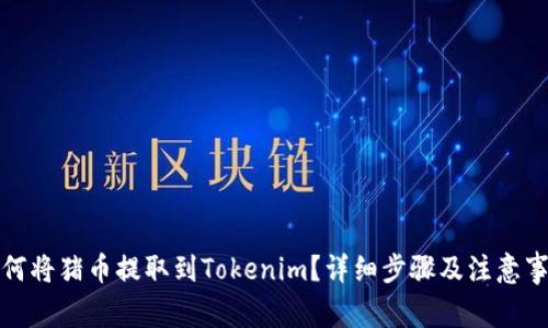 如何将猪币提取到Tokenim？详细步骤及注意事项