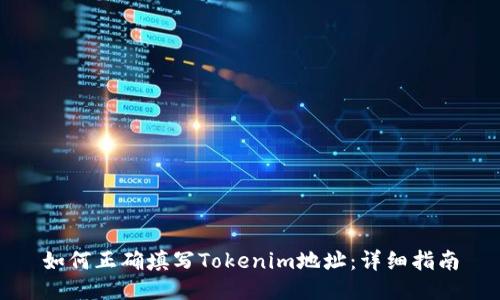 如何正确填写Tokenim地址：详细指南
