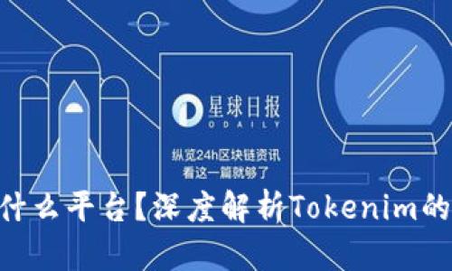 Tokenim是什么平台？深度解析Tokenim的功能与优势