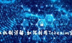 Tokenim分红机制详解：如何利用Tokenim实现财富增长