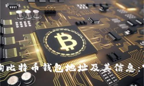 如何查询比特币钱包地址及其信息：官网指南