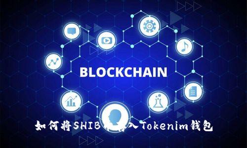 如何将SHIB币存入Tokenim钱包