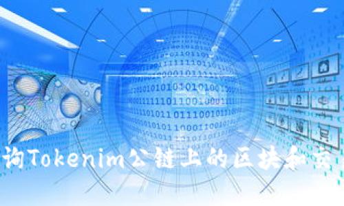 如何查询Tokenim公链上的区块和交易信息？