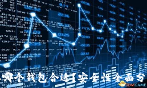   
比特币存哪个钱包合适？安全性全面分析与推荐