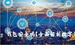 IM Talking 钱包安全吗？全面