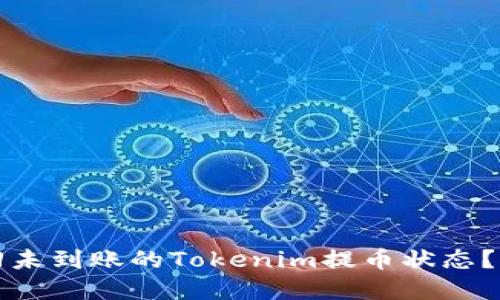 如何找回未到账的Tokenim提币状态？完全指南
