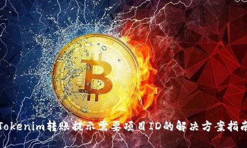 Tokenim转账提示需要项目ID的解决方案指南