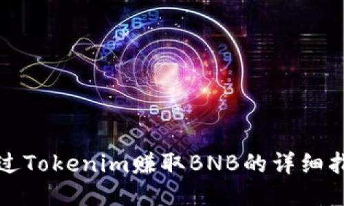 通过Tokenim赚取BNB的详细指南