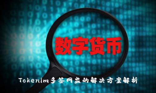 Tokenim多签网监的解决方案解析