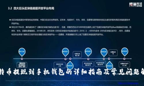 比特币提现到手机钱包的详细指南及常见问题解答