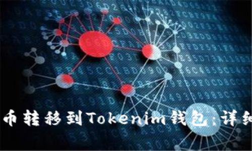 如何将OKEx上的币转移到Tokenim钱包：详细步骤和注意事项