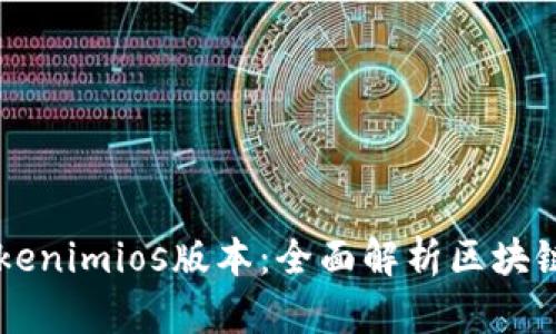 深入解读Tokenimios版本：全面解析区块链技术与应用