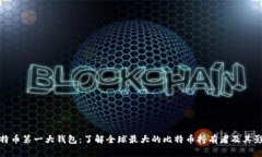 比特币第一大钱包：了解全球最大的比特币持有