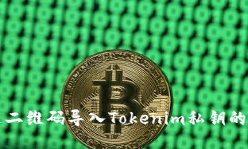 如何通过二维码导入Tokenim私钥的详细指南