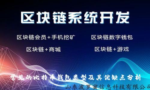 常见的比特币钱包类型及其优缺点分析