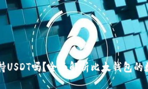 比太钱包支持USDT吗？全面解析比太钱包的数字货币功能